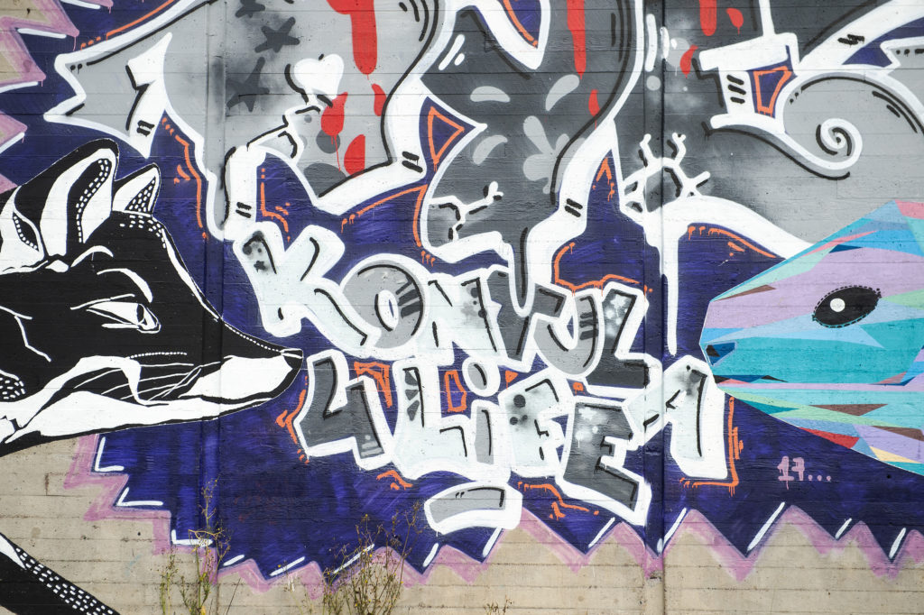 Kontula graffiti